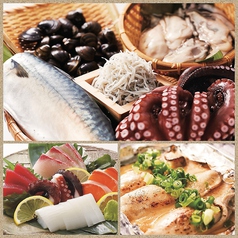 酔虎伝 阿倍野店 |【こだわりのメニュー】なにわの魅力★